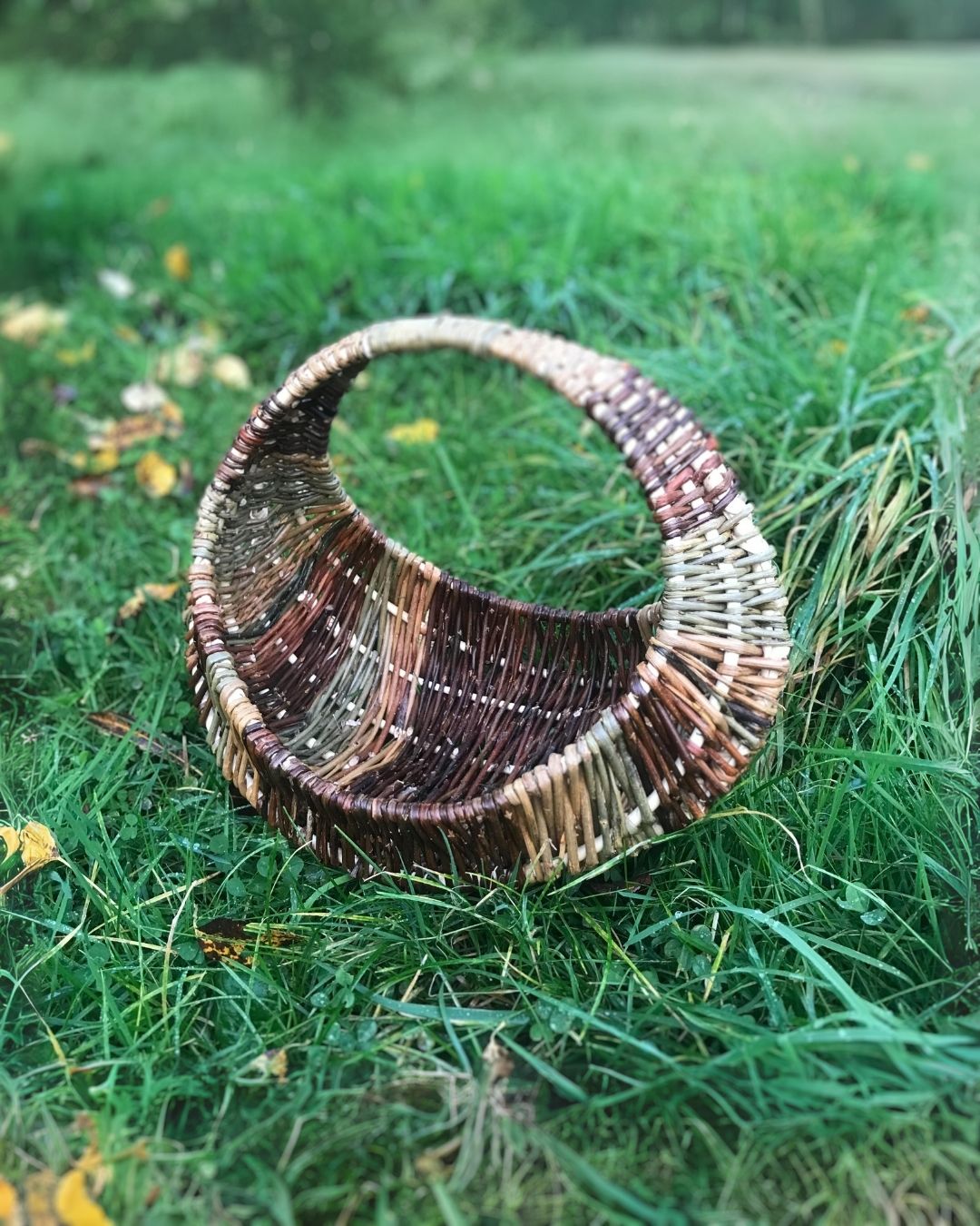 Circular Frame Basket