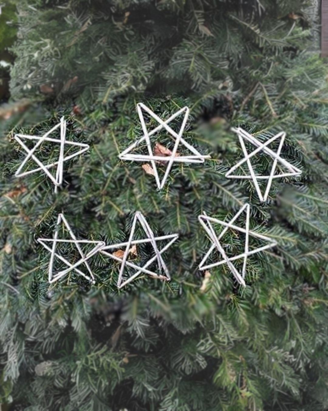 Set of 6 Willow Star Decorations