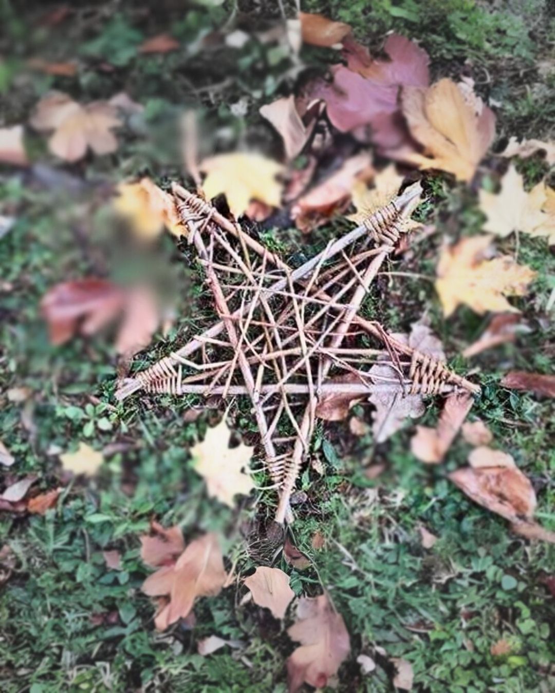 Willow Star Decoration