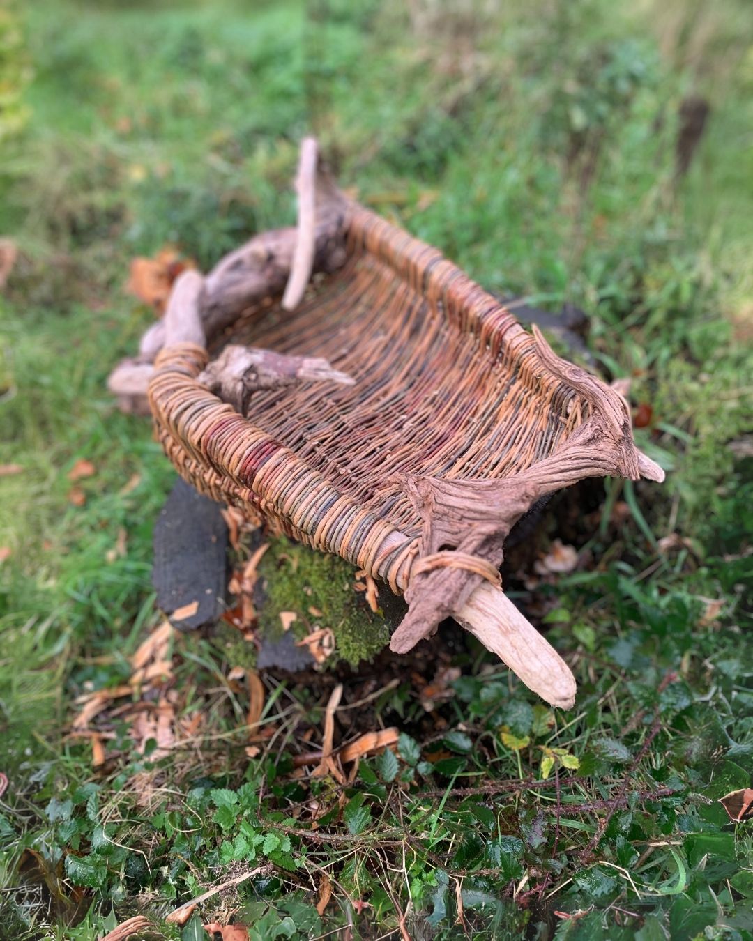 Willow & Driftwood Shallow Basket