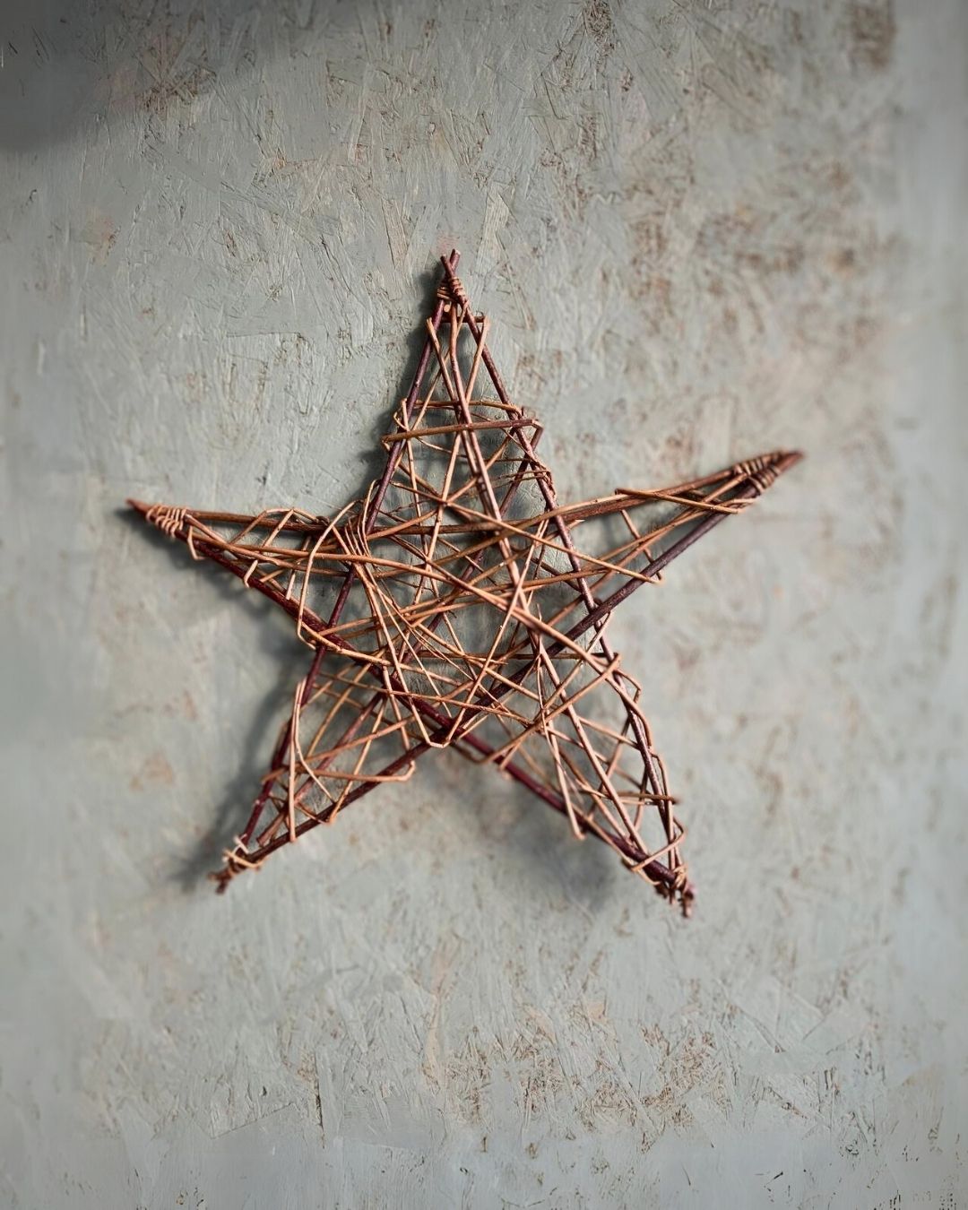 Large Willow Star