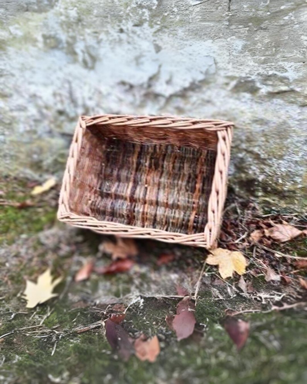 Rectangular Willow Storage Basket