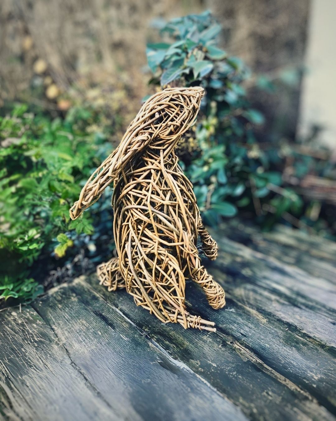 Willow Rabbit – Wyldwood Willow