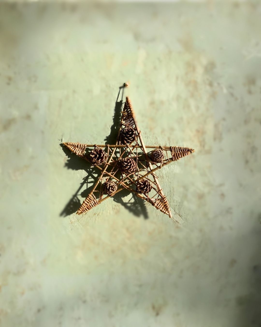 Willow Star with Fir Cones