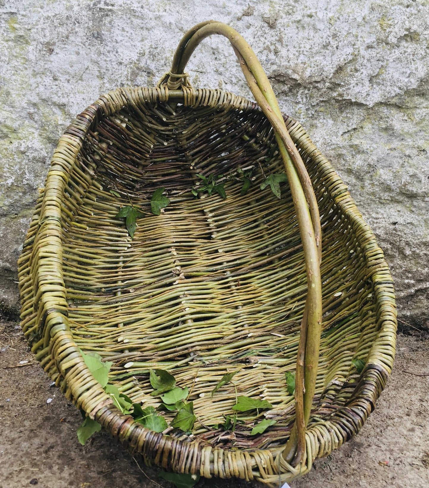 Willow Foraging Frame Basket Workshop