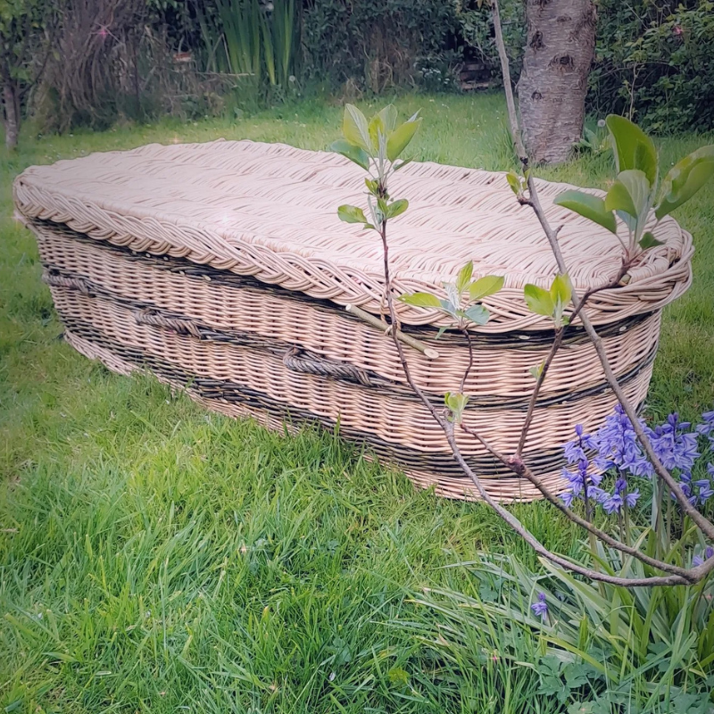 wyldwood Willow Coffin Pic 1